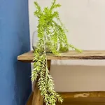 Unetti Oasis De Confort * Vigo