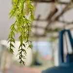 Lägenhet Unetti Oasis De Confort *