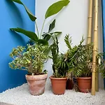 Unetti Oasis De Confort Lägenhet Vigo