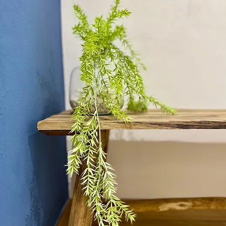 Oasis De Confort Urbano * Vigo