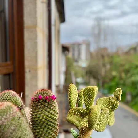 Oasis De Confort Urbano * Vigo