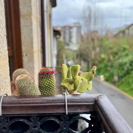 Oasis De Confort Urbano *