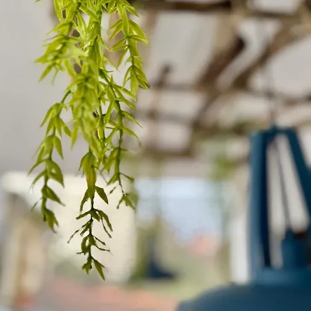 Apartment Oasis De Confort Urbano *