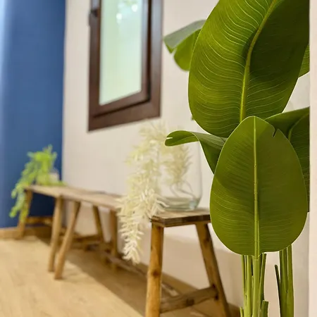 Oasis De Confort Urbano *