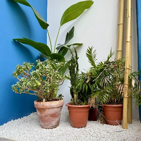 Unetti Oasis De Confort Apartment Vigo