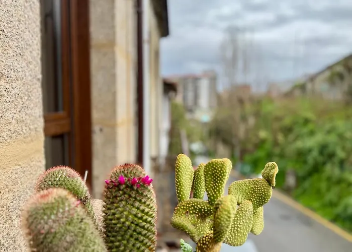 Oasis De Confort Urbano * Vigo