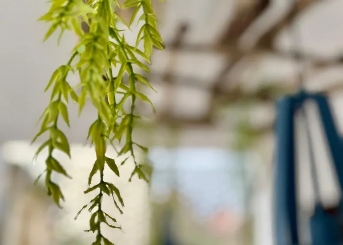 Apartament Oasis De Confort Urbano *