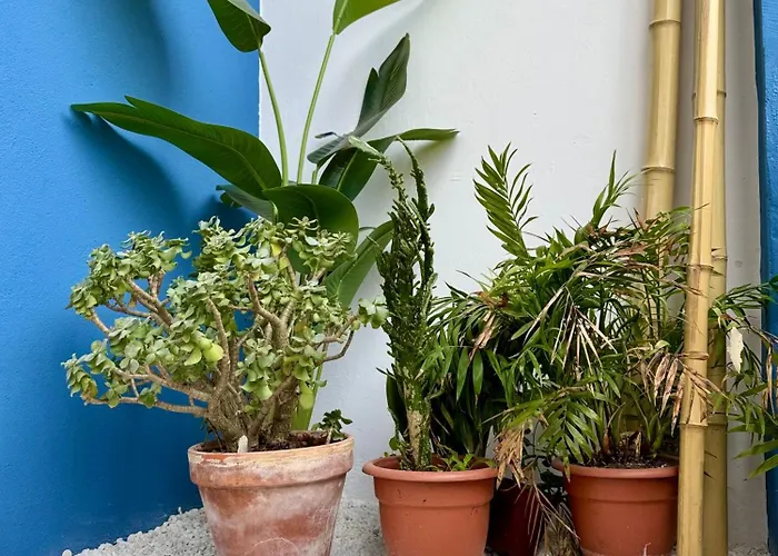 Oasis De Confort Urbano Apartment Vigo